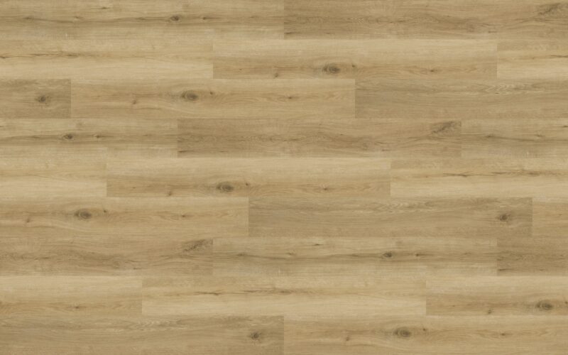 vinilines-grindys-vincore-perugia