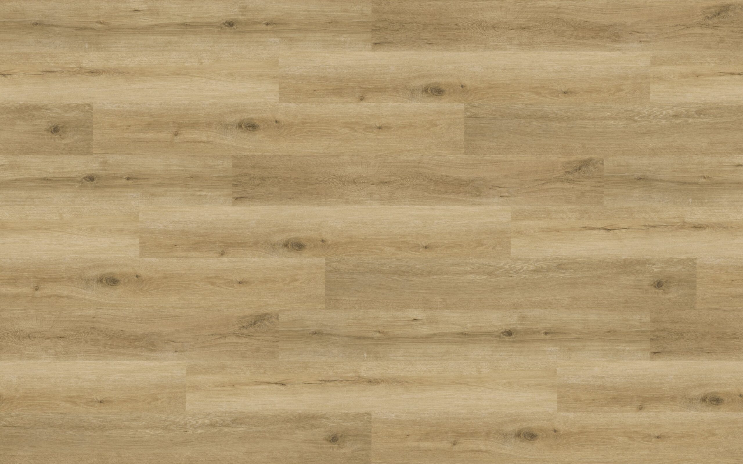 vinilines-grindys-vincore-perugia vinilines-grindys-vincore-perugia